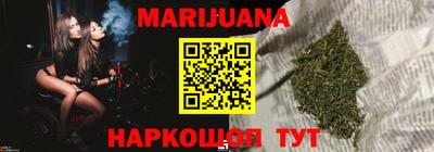сатива Коммунар