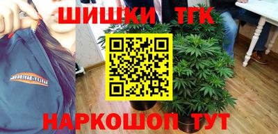 сатива Коммунар