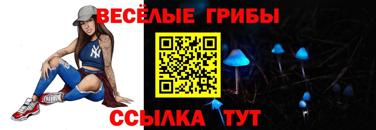 Фролово  Псилоцибиновые грибы GOLDEN TEACHER  Галлюциногенные грибы Psilocybine cubensis  Вход с VPN 